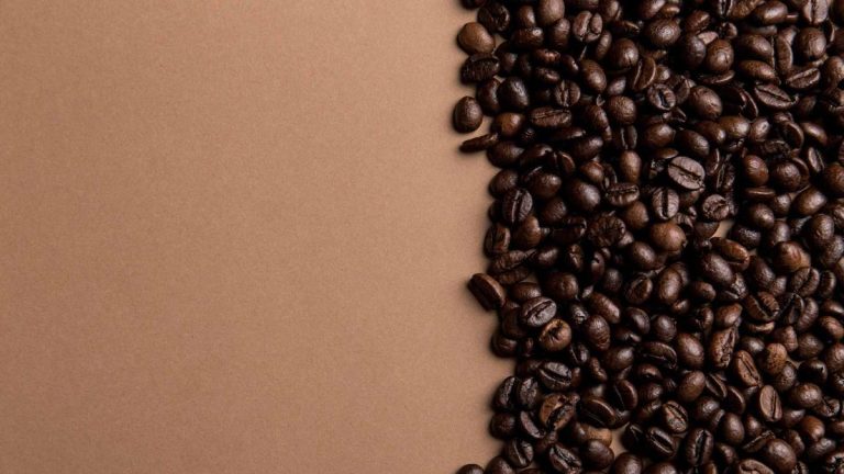 10 Best Espresso Coffee Brands To Fire Up Your Morning